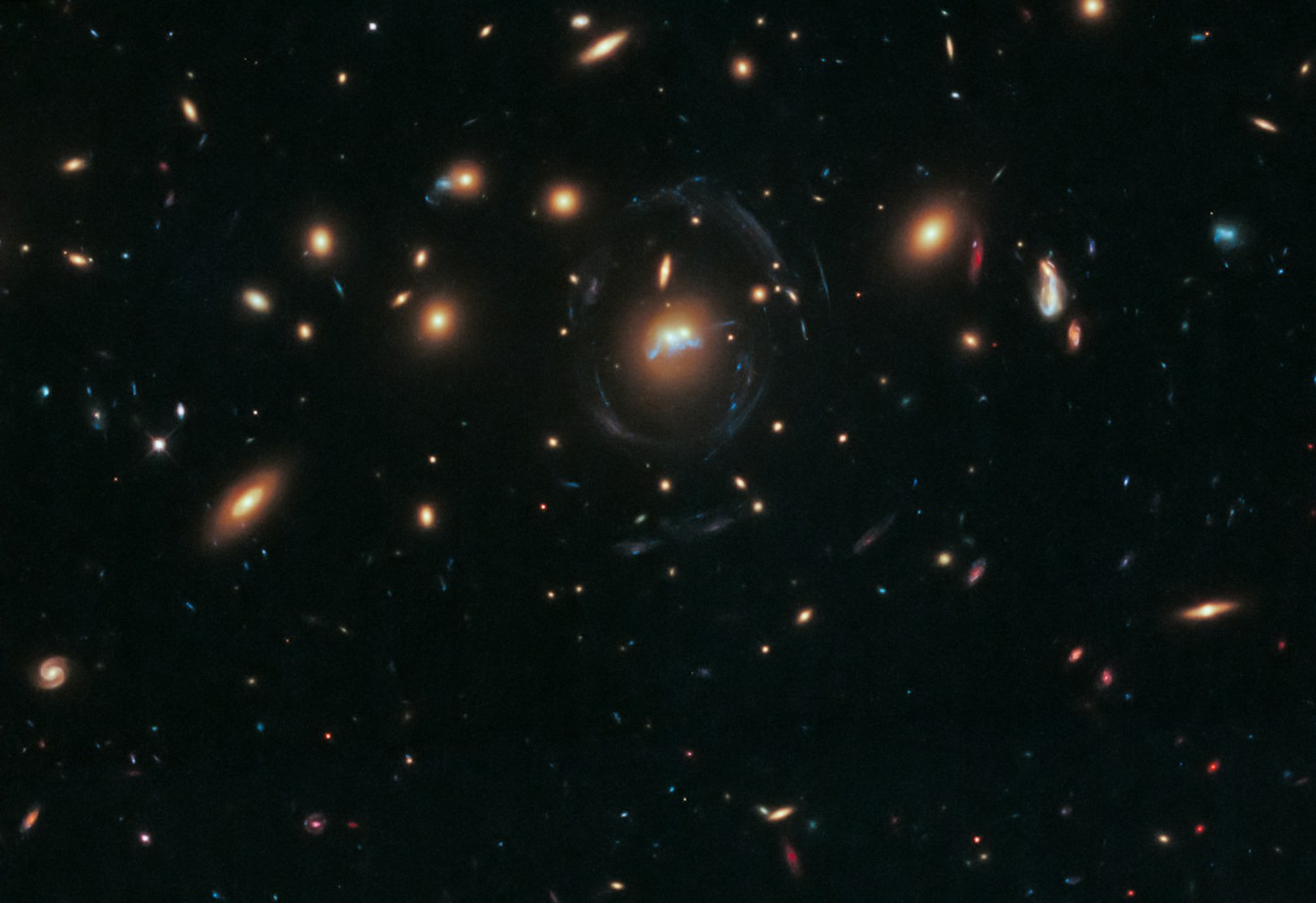 Decoding the Physics of Light Waveforms